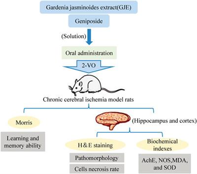 Insight in the Recent Application of Polyphenols From Biomass